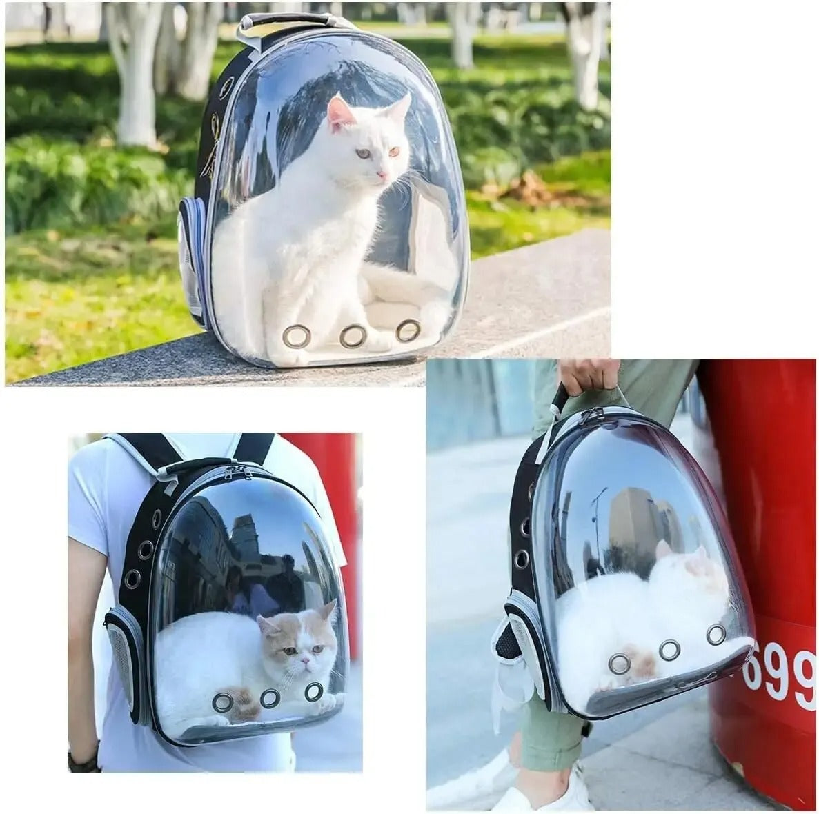 Cat backpack