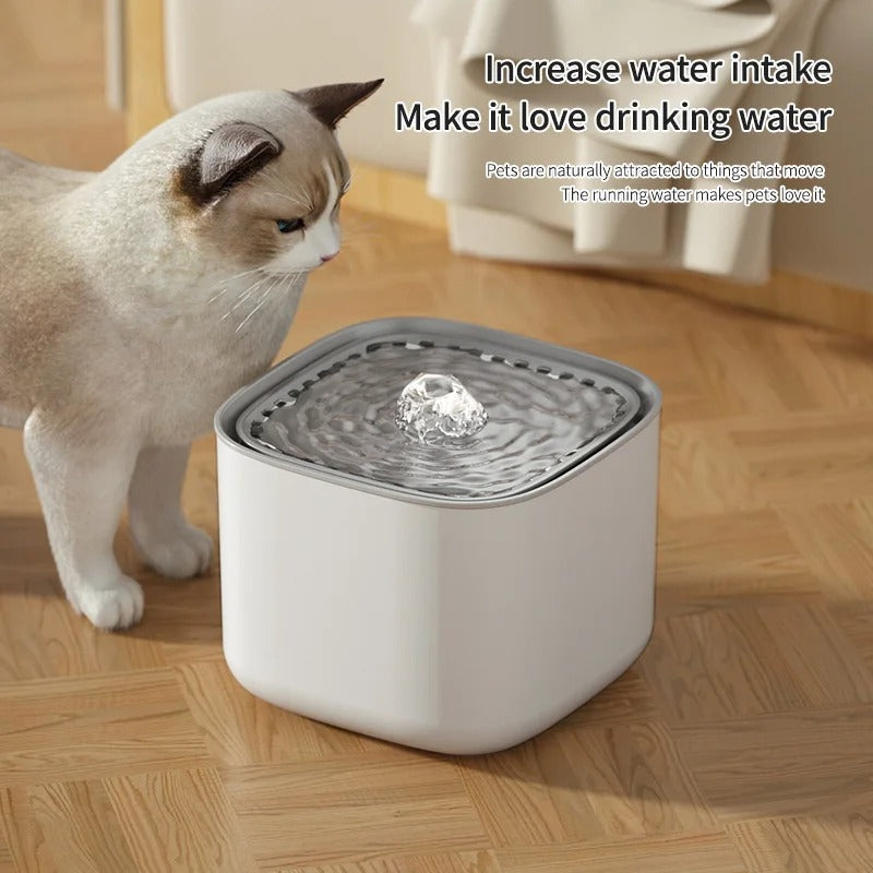 Cat water fountain