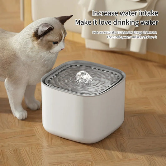 Cat water fountain