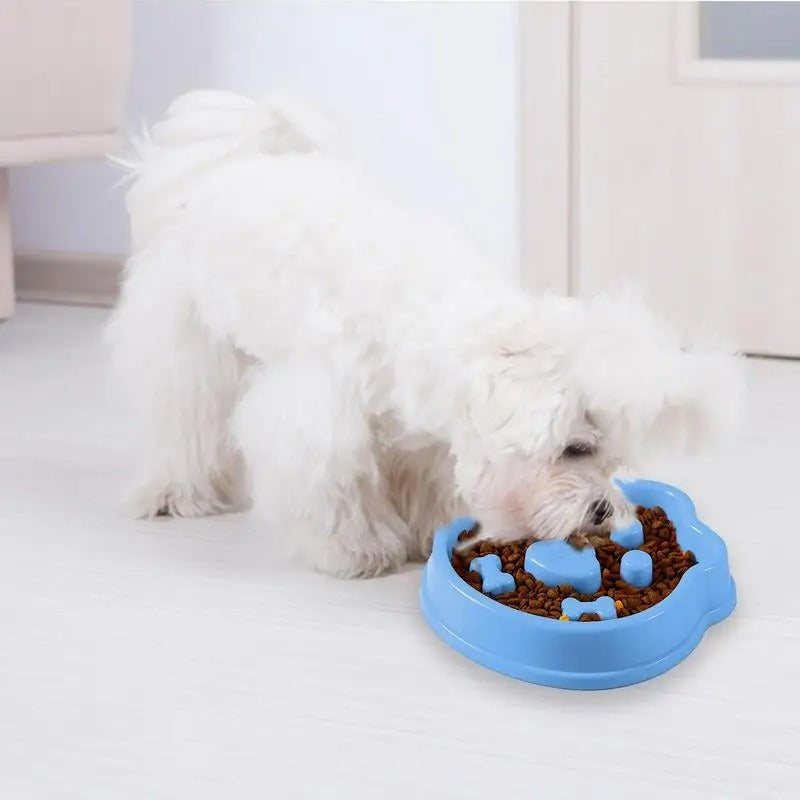 Slow feeder for dogs